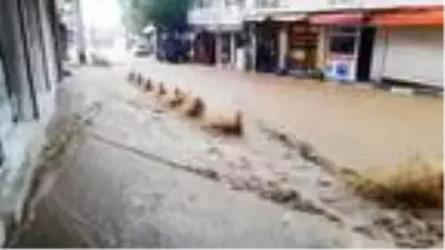 Derik'te sağanak ve dolu, caddeleri suyla doldurdu Derik'te sağanak ve dolu, caddeleri suyla doldurdu