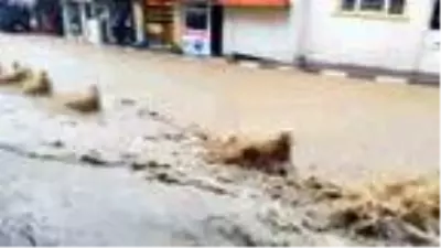 Derik'te sağanak ve dolu, caddeleri suyla doldurdu Derik'te sağanak ve dolu, caddeleri suyla doldurdu