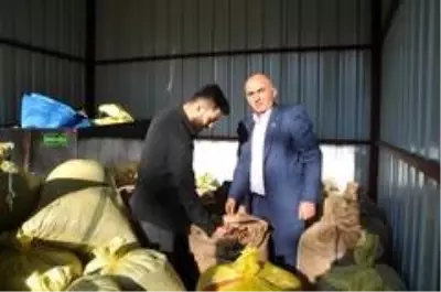 Fındıkta Avrupa ve 4 dolar beklentisi Fındıkta Avrupa ve 4 dolar beklentisi