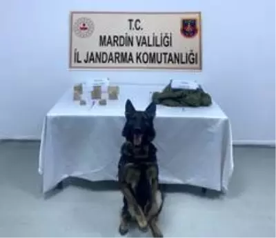 Mardin'de uyuşturucu operasyonu Mardin'de uyuşturucu operasyonu