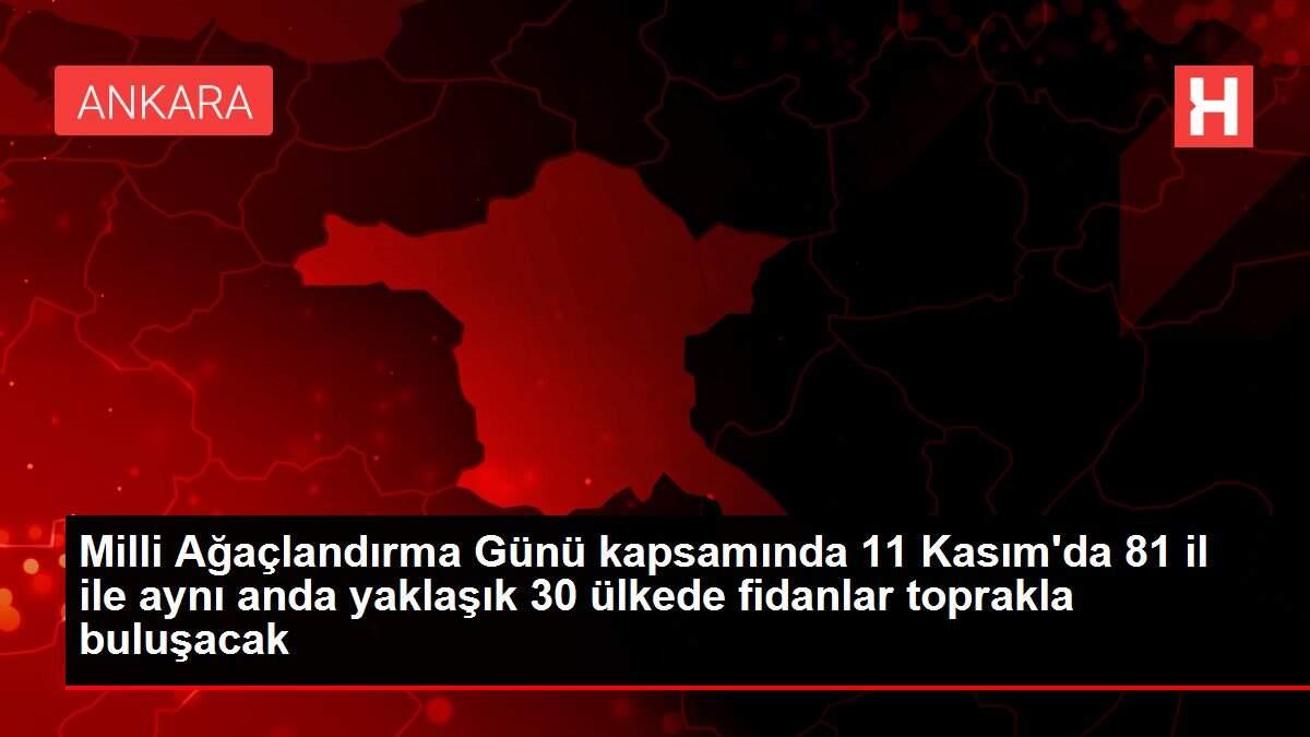 Milli Ağaçlandırma Günü kapsamında 11 Kasım'da 81 il ile aynı anda yaklaşık 30 ülkede fidanlar toprakla buluşacak Milli Ağaçlandırma Günü kapsamında 11 Kasım'da 81 il ile aynı anda yaklaşık 30 ülkede fidanlar toprakla buluşacak