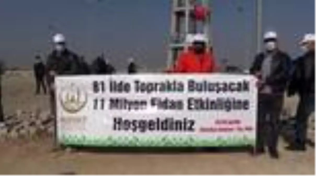 11 Kasım Milli ağaçlandırma Günü