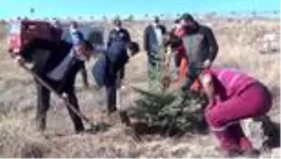 11 Kasım Milli Ağaçlandırma Günü 11 Kasım Milli Ağaçlandırma Günü