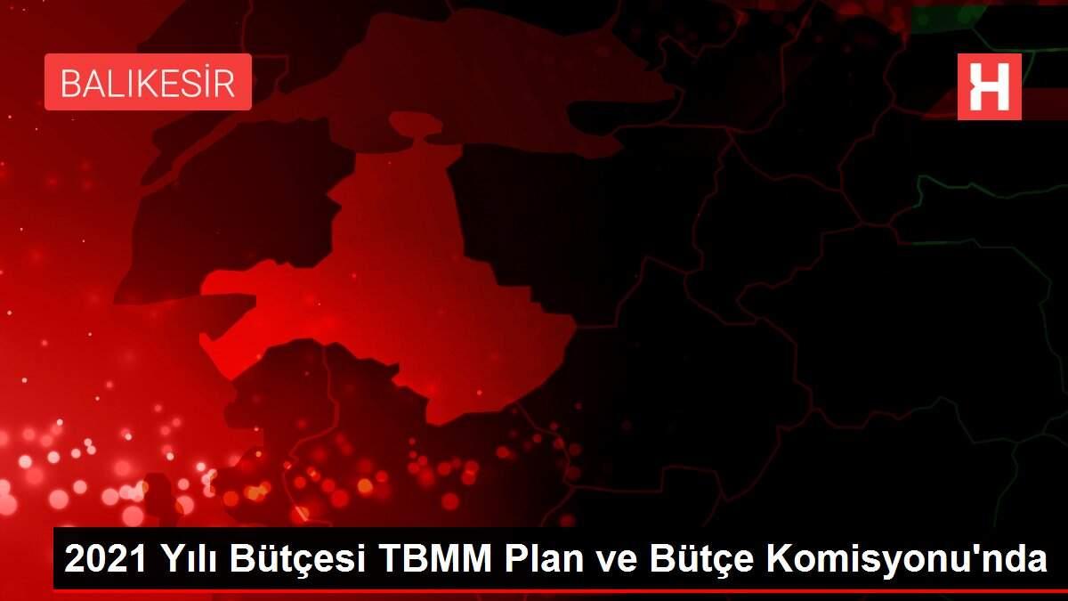 2021 Yılı Bütçesi TBMM Plan ve Bütçe Komisyonu'nda 2021 Yılı Bütçesi TBMM Plan ve Bütçe Komisyonu'nda