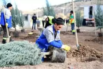 Son dakika haberi... Altındağ'a bir orman daha - Haber