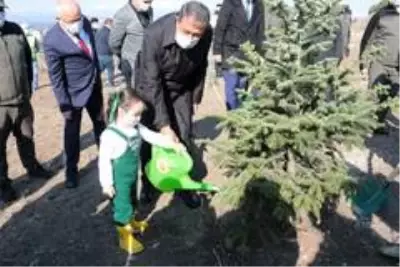 Balıkesir'de 10 bin fidan toprakla buluştu Balıkesir'de 10 bin fidan toprakla buluştu