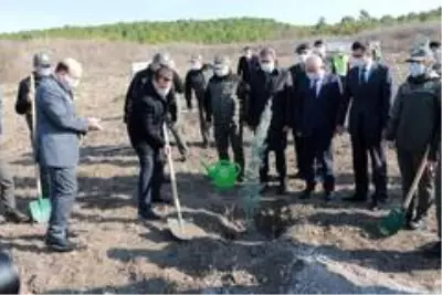 Balıkesir'de 10 bin fidan toprakla buluştu Balıkesir'de 10 bin fidan toprakla buluştu