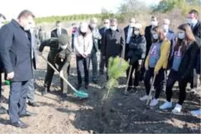 Balıkesir'de 10 bin fidan toprakla buluştu Balıkesir'de 10 bin fidan toprakla buluştu