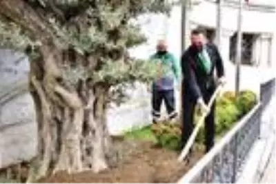 - Beyoğlu'ndan tüm İstanbul'a yayılan 'Zeytin Ağacı Dikme' kampanyası - Beyoğlu'ndan tüm İstanbul'a yayılan 'Zeytin Ağacı Dikme' kampanyası