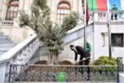 - Beyoğlu'ndan tüm İstanbul'a yayılan 'Zeytin Ağacı Dikme' kampanyası - Beyoğlu'ndan tüm İstanbul'a yayılan 'Zeytin Ağacı Dikme' kampanyası
