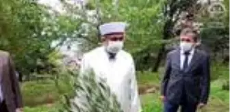 Beyoğlu Belediyesi: - Beyoğlu'ndan tüm İstanbul'a yayılan 'Zeytin Ağacı Dikme' kampanyası Beyoğlu Belediyesi: - Beyoğlu'ndan tüm İstanbul'a yayılan 'Zeytin Ağacı Dikme' kampanyası