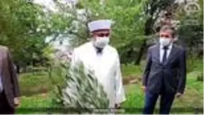 - Beyoğlu'ndan tüm İstanbul'a yayılan 'Zeytin Ağacı Dikme' kampanyası - Beyoğlu'ndan tüm İstanbul'a yayılan 'Zeytin Ağacı Dikme' kampanyası