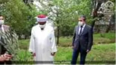 - Beyoğlu'ndan tüm İstanbul'a yayılan 'Zeytin Ağacı Dikme' kampanyası - Beyoğlu'ndan tüm İstanbul'a yayılan 'Zeytin Ağacı Dikme' kampanyası