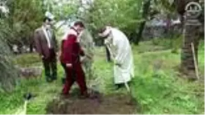 - Beyoğlu'ndan tüm İstanbul'a yayılan 'Zeytin Ağacı Dikme' kampanyası - Beyoğlu'ndan tüm İstanbul'a yayılan 'Zeytin Ağacı Dikme' kampanyası