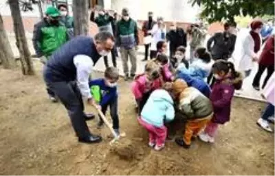 - Beyoğlu'ndan tüm İstanbul'a yayılan 'Zeytin Ağacı Dikme' kampanyası - Beyoğlu'ndan tüm İstanbul'a yayılan 'Zeytin Ağacı Dikme' kampanyası