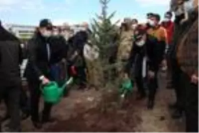 Bitlis'te bin 500 fidan dikildi Bitlis'te bin 500 fidan dikildi