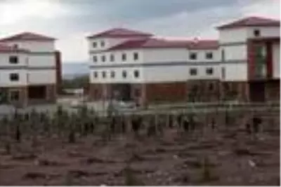 Bitlis'te bin 500 fidan dikildi Bitlis'te bin 500 fidan dikildi