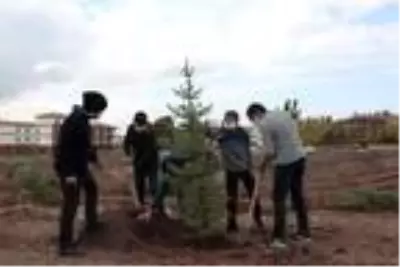 Bitlis'te bin 500 fidan dikildi Bitlis'te bin 500 fidan dikildi