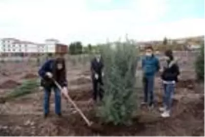 Bitlis'te bin 500 fidan dikildi Bitlis'te bin 500 fidan dikildi