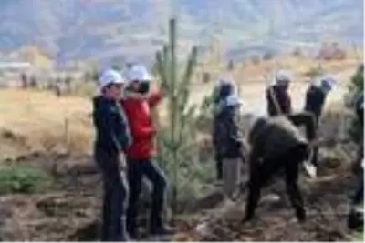 Bitlis'te bin 500 fidan dikildi Bitlis'te bin 500 fidan dikildi