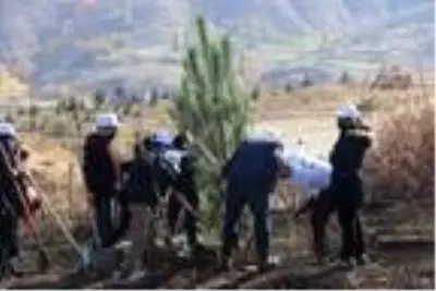 Bitlis'te bin 500 fidan dikildi Bitlis'te bin 500 fidan dikildi