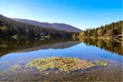Bolu'da masalsı sonbahar manzaraları Bolu'da masalsı sonbahar manzaraları