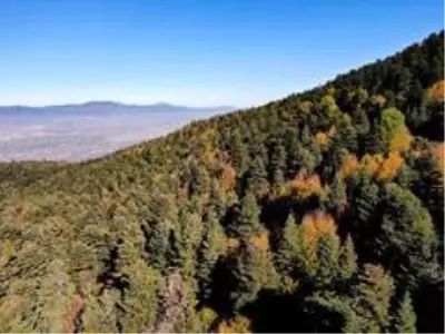 Bolu'da masalsı sonbahar manzaraları Bolu'da masalsı sonbahar manzaraları