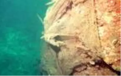 Çanakkale Boğazı hayalet ağlardan kurtarıldı Çanakkale Boğazı hayalet ağlardan kurtarıldı