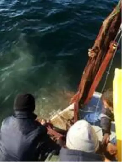 Çanakkale Boğazı hayalet ağlardan kurtarıldı Çanakkale Boğazı hayalet ağlardan kurtarıldı