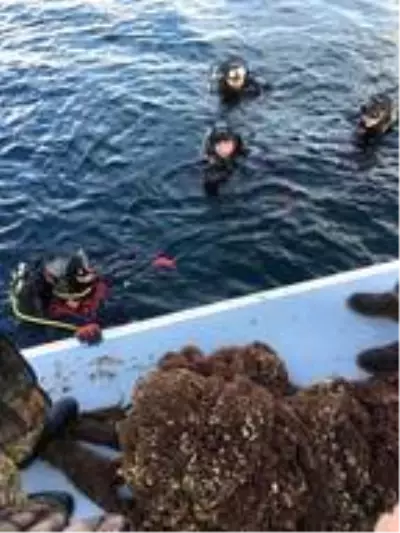 Çanakkale Boğazı hayalet ağlardan kurtarıldı Çanakkale Boğazı hayalet ağlardan kurtarıldı