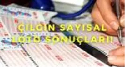 Cilgin Sayisal Loto Sonuclari Sorgulama Linki 11 Kasim Cilgin Sayisal Loto Ne Kadar Devretti Cilgin Sayisal Loto Kazandiran Numaralar Haberler