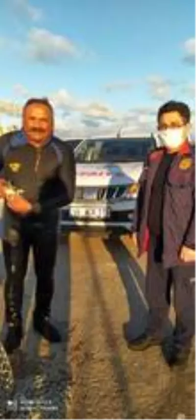 Son Dakika Samsun Dan Kisa Kisa Haberler Com Yasam