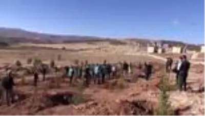 Doğu Anadolu'da fidanlar toprakla buluştu Doğu Anadolu'da fidanlar toprakla buluştu