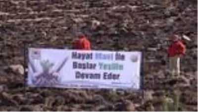 Doğu Anadolu'da fidanlar toprakla buluştu Doğu Anadolu'da fidanlar toprakla buluştu