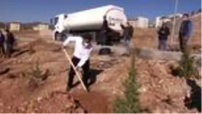 Doğu Anadolu'da fidanlar toprakla buluştu Doğu Anadolu'da fidanlar toprakla buluştu