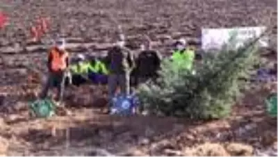 Doğu Anadolu'da fidanlar toprakla buluştu Doğu Anadolu'da fidanlar toprakla buluştu