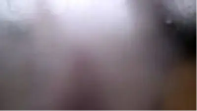 'Efsane rengin' elde edildiği bitkinin tohumları toprakla buluştu 'Efsane rengin' elde edildiği bitkinin tohumları toprakla buluştu
