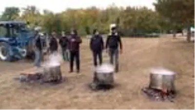 'Efsane rengin' elde edildiği bitkinin tohumları toprakla buluştu 'Efsane rengin' elde edildiği bitkinin tohumları toprakla buluştu