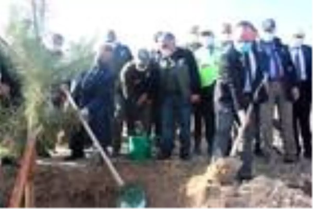 Elazığ'da 23 bin fidan dikildi
