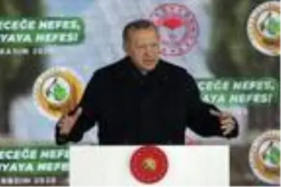Erdoğan: 'Her yıl 12 milyon yavrumuzun kendi fidanlarını yetiştirmesini sağlayacağız' Erdoğan: 'Her yıl 12 milyon yavrumuzun kendi fidanlarını yetiştirmesini sağlayacağız'