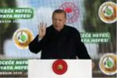 Erdoğan: 'Her yıl 12 milyon yavrumuzun kendi fidanlarını yetiştirmesini sağlayacağız' Erdoğan: 'Her yıl 12 milyon yavrumuzun kendi fidanlarını yetiştirmesini sağlayacağız'