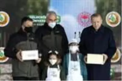 Erdoğan: 'Her yıl 12 milyon yavrumuzun kendi fidanlarını yetiştirmesini sağlayacağız' Erdoğan: 'Her yıl 12 milyon yavrumuzun kendi fidanlarını yetiştirmesini sağlayacağız'
