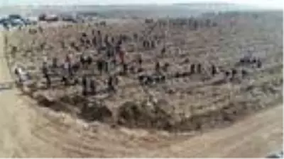 Eskişehir?de 88 bin fidan toprakla buluştu Eskişehir?de 88 bin fidan toprakla buluştu