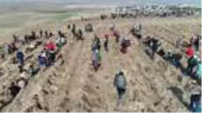 Eskişehir?de 88 bin fidan toprakla buluştu Eskişehir?de 88 bin fidan toprakla buluştu