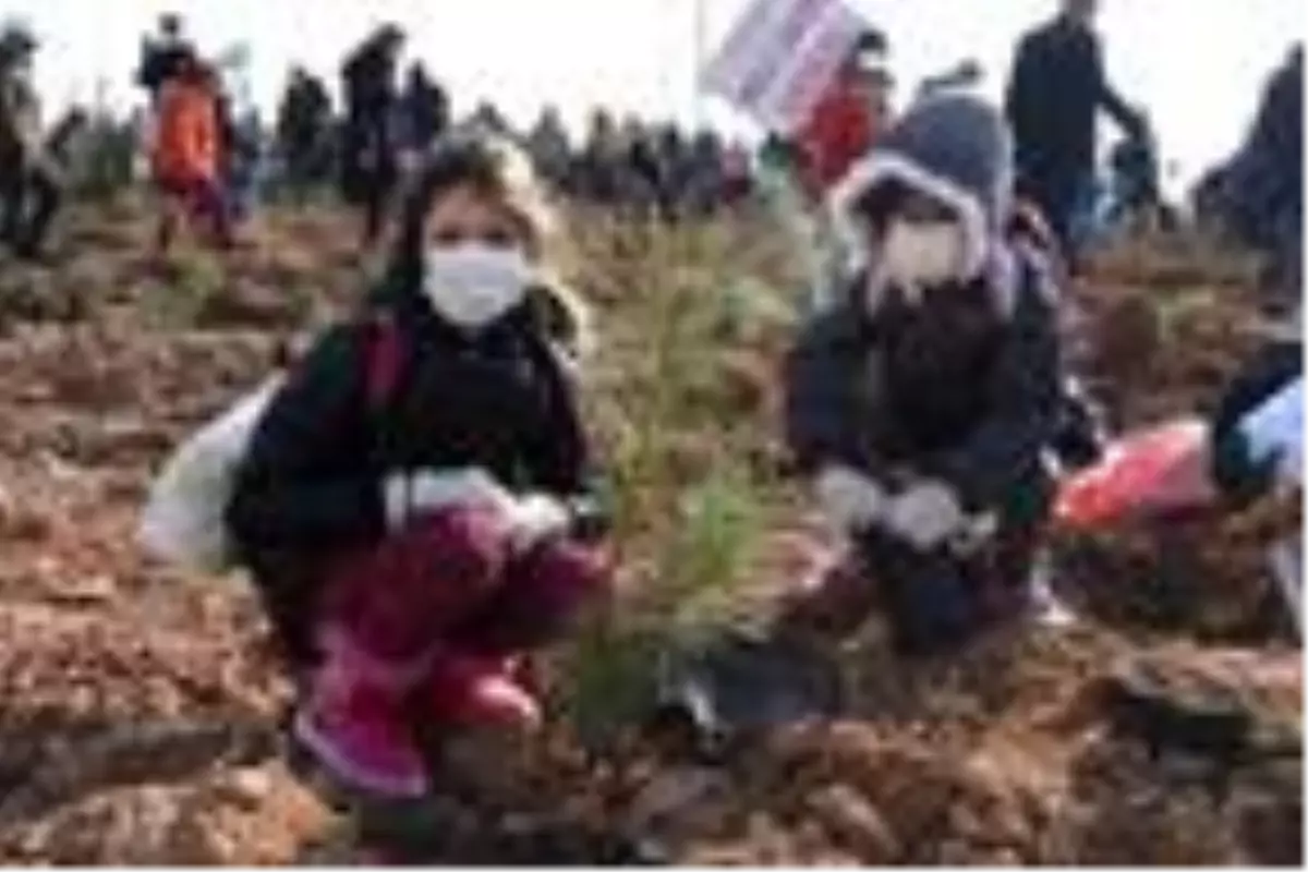 Eskişehir?de 88 bin fidan toprakla buluştu