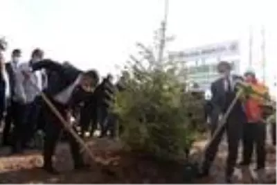 Eskişehir?de 88 bin fidan toprakla buluştu Eskişehir?de 88 bin fidan toprakla buluştu