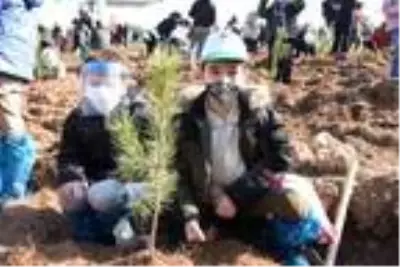 Eskişehir?de 88 bin fidan toprakla buluştu Eskişehir?de 88 bin fidan toprakla buluştu