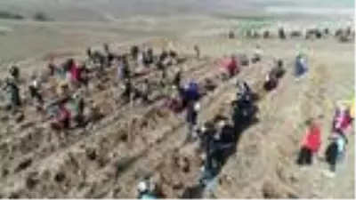 Eskişehir?de 88 bin fidan toprakla buluştu Eskişehir?de 88 bin fidan toprakla buluştu