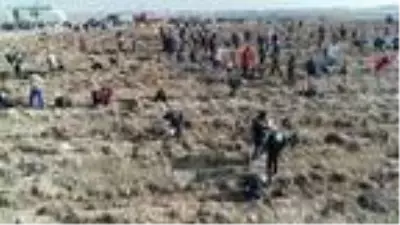 Eskişehir?de 88 bin fidan toprakla buluştu Eskişehir?de 88 bin fidan toprakla buluştu