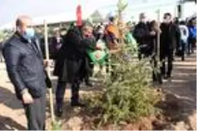Eskişehir?de 88 bin fidan toprakla buluştu Eskişehir?de 88 bin fidan toprakla buluştu